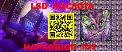 амф Донской