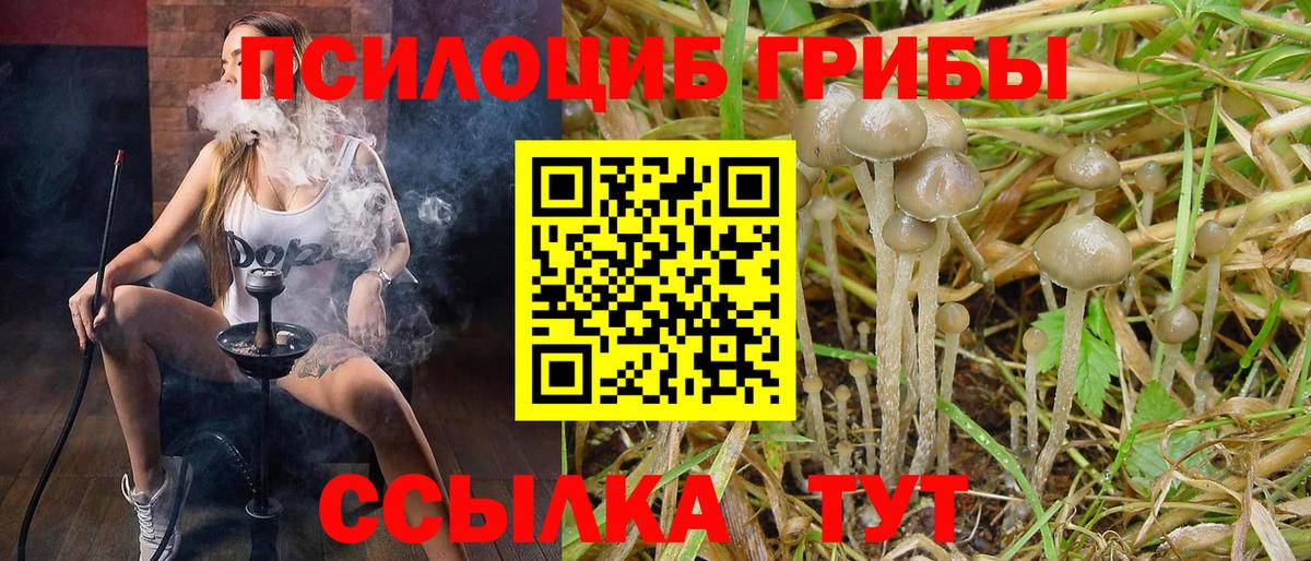 Псилоцибиновые грибы ЛСД  продажа наркотиков  Лесной  Вход с VPN 